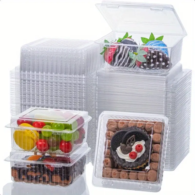10 Pack Disposable Baking Cake - Outdoor Camping Box ulasan dan harga