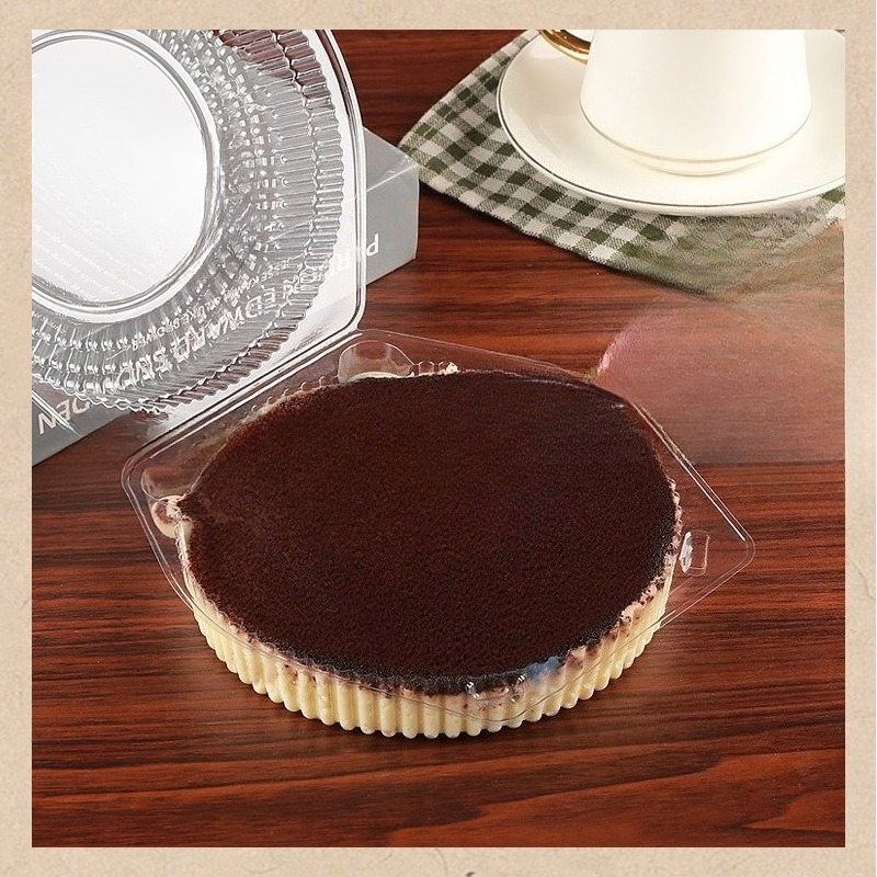 10 Pack Disposable Baking Cake - Outdoor Camping Box ulasan dan harga